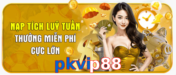 pkvip88